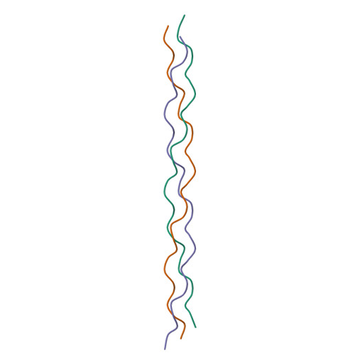 Three-dimensional structure render: Crystal Structure of the Collagen Triple Helix Model [(Pro-Pro-Gly)10]3