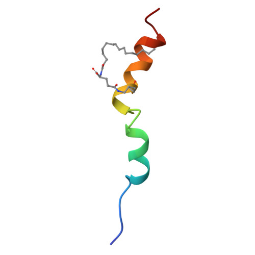 Three-dimensional structure render: Liraglutide