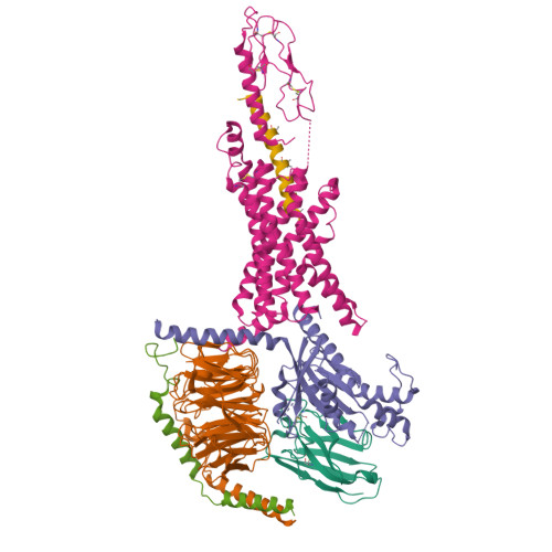 Three-dimensional structure render: Cryo-EM structure of the retatrutide-bound human GLP-1R-Gs complex
