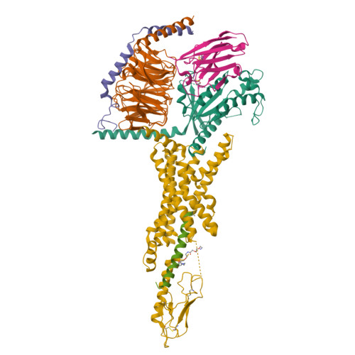 Three-dimensional structure render: Semaglutide-bound Glucagon-Like Peptide-1 (GLP-1) Receptor in Complex with Gs protein