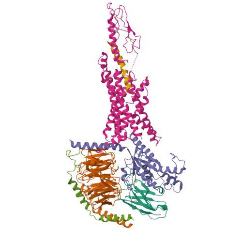 Three-dimensional structure render: Cryo-EM structure of the tirzepatide (LY3298176)-bound human GLP-1R-Gs complex